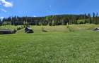 Teren de vanzare in Bucovina zona Pojorata pe Transrarau - 9