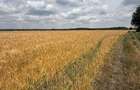 Vand 116 HA teren agricol in judetul Arad - 5