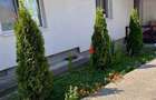 Casă cu Teren 867 Mp în Drăganu