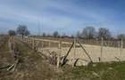 Vand Teren intravilan - 4