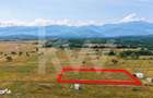 Teren cu priveliste spectaculoasa spre Muntii Fagaras- Valea Avrigulu - 6