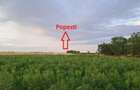 Teren intravilan com Berceni - zona Bistrita/Aviatorilor - 2