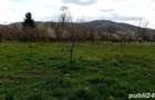 Vanzare teren intravilan - 1