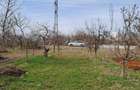 Teren 3000mp -Constanta, Zona sere - Campul cu Flori - 6