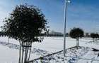 3 camere premium | Parc interior | Ansamblu privat | Militari - 8