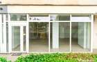 Spatiu 200 mp cu terasa, ideal pentru HoReCa, zona Turt - Turt (Satu-Mare) - 4