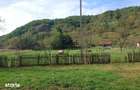 Teren, padure si casa in Dumbrava de Jos, jud. Hunedoara - 6