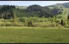 Teren Vatra Dornei (strada Rosu) - 1