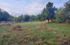 Teren 1000 mp pt casa in Salicea, capat de strada, utilita?i, gard