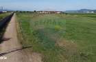 Teren 39,500mp Vintu de Jos