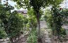 Inchiriere apartament 2 camere in vila cu curte Parcul Circului - 9