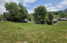 Teren intravilan parcelabil 1000 mp - Rucar, Arges - 3