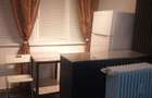Garsoniera OPEN-SPACE,Teiul Doamnei, RENOVAT, NOU,AC - 6