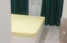 Apartament cu 2 camere decomandat în Roșu - 3