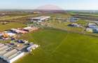 Teren 10,000mp Arad / DJ 682 - 5