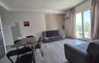 Complex rezidential Cosmopolis, inchiriere ap. 2 cam mobilat - 8