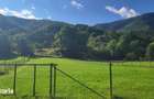 Teren de 1600 mp, în Râu Sadului - 2