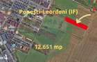 Teren 12.651 mp langa Metrou Berceni | Perfect Dezvoltare Rezidentiala - 13