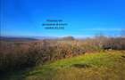 Teren intravilan 2.000 mp – Seciu, 2 deschideri, Priveliște panoramica - 4