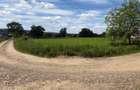 Teren intravilan in Mitoca?i 48000 euro - 4