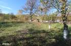 Vand casa P+Pod in Izvoarele, la 15km de Hunedoara, teren 920mp, anexa