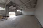 Hale cu suprafete intre 100-560mp in zona Drumul Intre Tarlale - 2