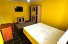 Apartament cu 1 camera, decomandat, vizavi de Carrefour Felicia - 5