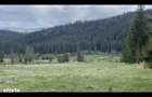 55.000 MP IN INIMA NATURII DIN BUCOVINA | POTEN?IAL RESORT DE LUX, - 4