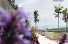 Vand apartament cu 3 camere 115 mp in Seasons! Bloc FINALIZAT! Cu CF! - 2