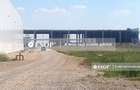 WDP Industrial Park Paulesti, hale de inchiriat, 2.500 - 14.150 mp - 2