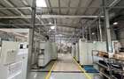 Inchiriere Hala Industriala 7.800 mp | Buzia?, Timi? - 2