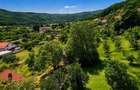 Teren Mixt 7.516 mp in Nicolae Balcescu Intravilan extensibil ?i deschidere spre dealuri - 6