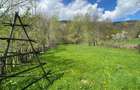 Vand teren Valea Doftanei - 10