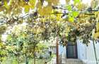Casa 3 camere 92 mp, 338 mp de teren - 1