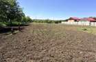 Casa de renovat 127 mp +3000 mp Teren Intrav/Simnic, la 12km de Craiova - 17