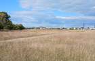 Teren intravilan, Brasov ,zona Craiter, proprietar , 1500 mp, 39 euro mp - 3