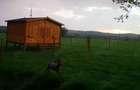 Teren de vanzare la marginea padurii, aproape de Sali?te, jud Sibiu