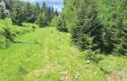 Teren de 300 mp, în Râu de Mori - 7