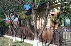 Casă cu Teren 3477 Mp în Garoafa - 3