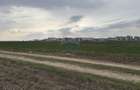 Teren 12.651 mp langa Metrou Berceni | Perfect Dezvoltare Rezidentiala - 4