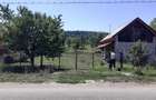Casă cu Teren 8000 Mp în Dăbâca - 1