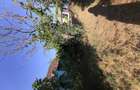 Casa batraneasca cu teren de 1050m de vanzare!!! - 1