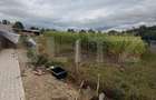 Casa de vanzare, 160 mp utili, teren 1820 mp, zona Bunesti