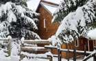 Vand 2 Cabane muntele baisorii - 3