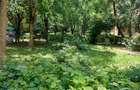 OFERTA!!! Vanzare apartament 2 camere cartierul Gheorgheni - 7