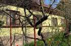 Casa in Pietroasele Buzau - 4