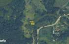 Teren de vis la munte 7.795 mp construibil parau, padure - 9
