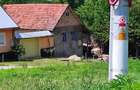Casa in Potoc, Cheile Nerei, Caras-Severin - 2