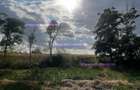 Vand teren Tuzla, intravilan, 2500 mp, deschidere 45m - 2