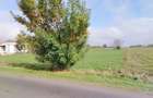 Teren 2.600 mp - deschidere 35m-intrare Pogoanele dinspre Buzau - 6